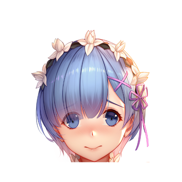 REM PEEKER