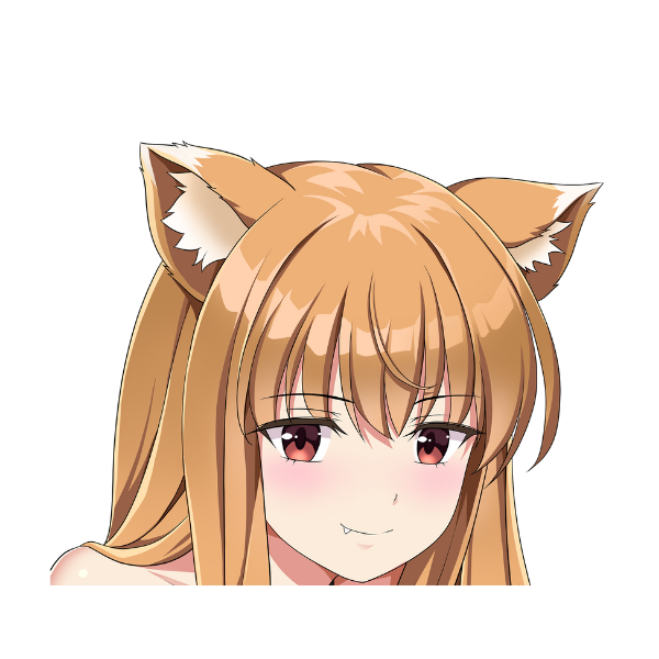 HOLO PEEKER