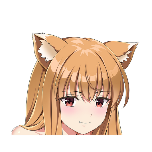 HOLO PEEKER