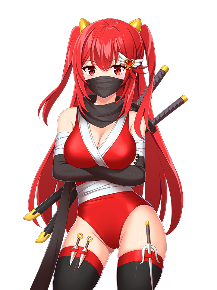 AIKO NINJA