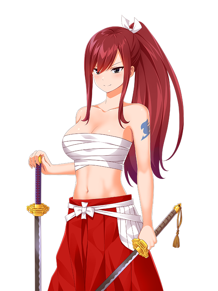 ERZA SCARLET WITH SWORDS 2