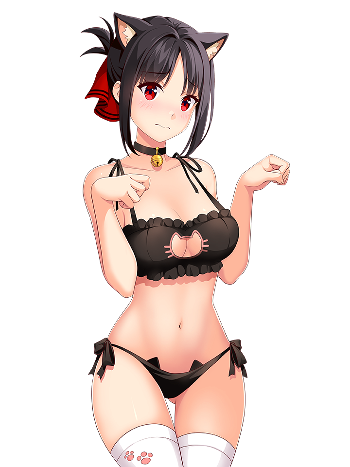 KAGUYA SHINOMIYA CATGIRL