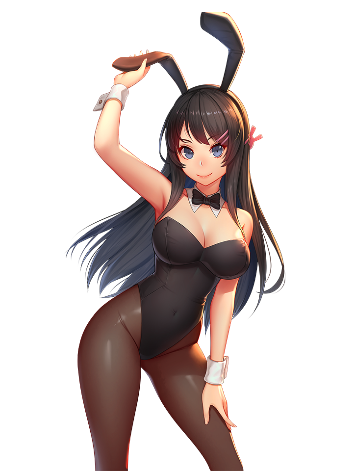 MAI SAKURAJIMA BUNNY SUIT