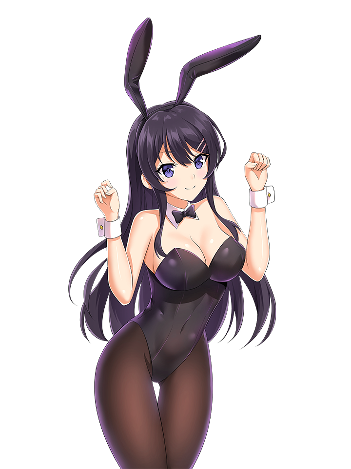 MAI SAKURAJIMA BUNNY SUIT 2