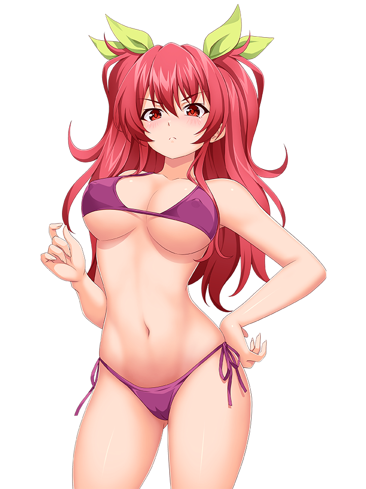 STELLA VERMILLION BIKNI