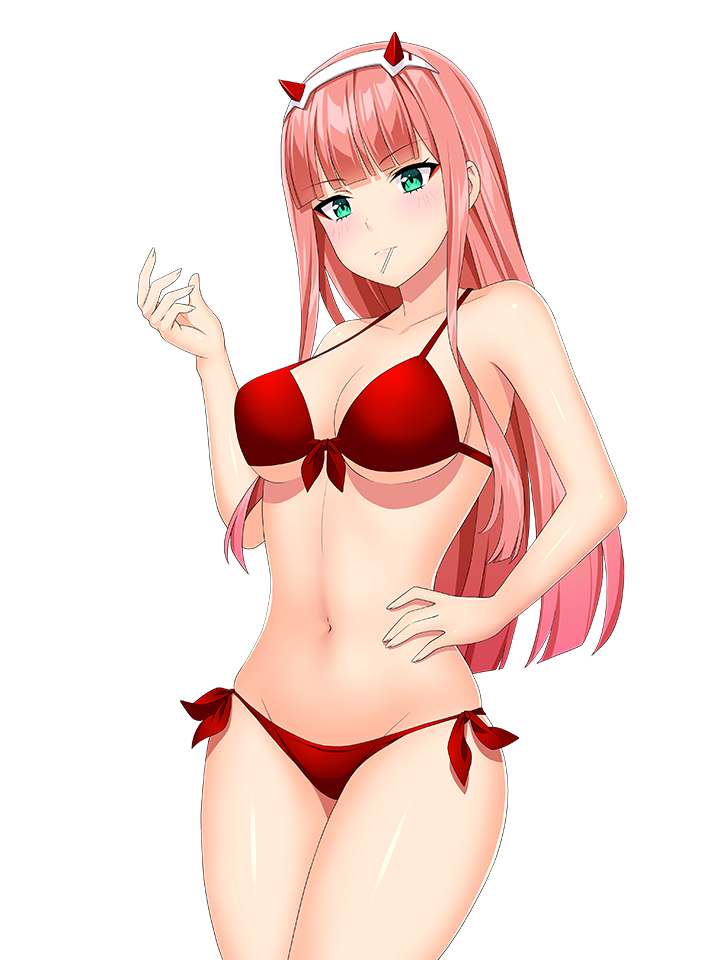 ZERO TWO BIKINI