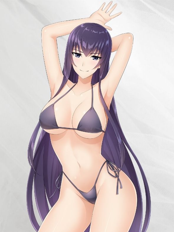 Saeko Busujima Bikini