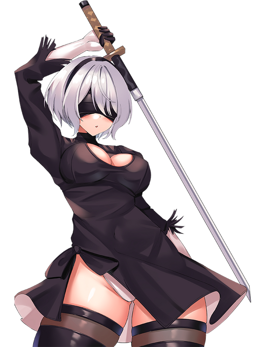 2B CLASSIC