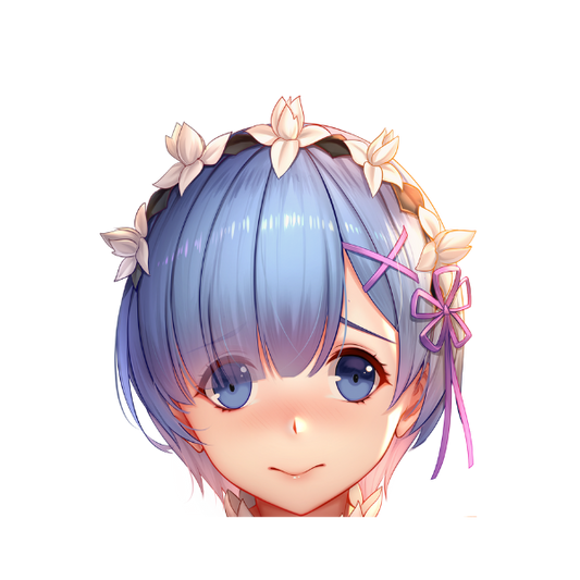 REM PEEKER
