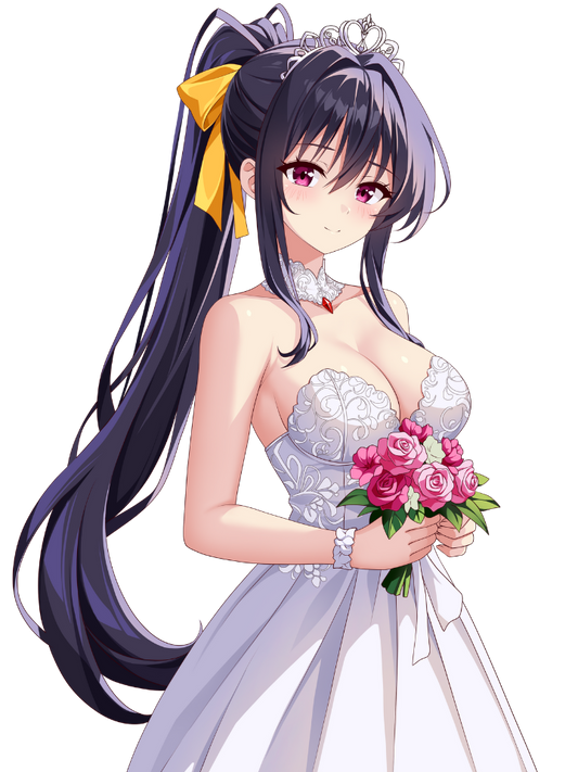 AKENO HIMEJIMA WEDDING DRESS