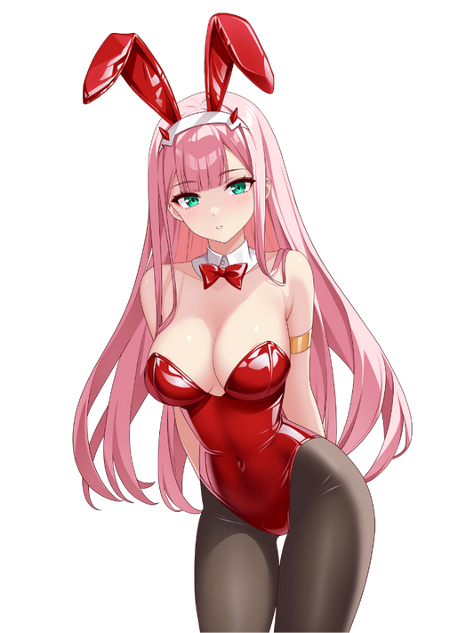 ZERO TWO BUNNY GIRL