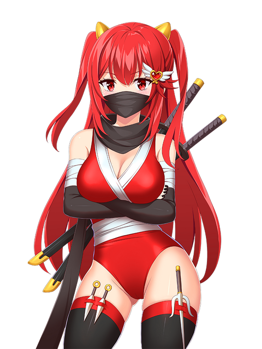 AIKO NINJA