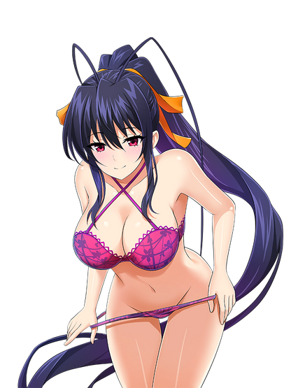 HIGH SCHOOL DXD STICKER COLLECTION