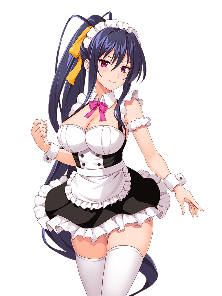 AKENO HIMEJIMA MAID
