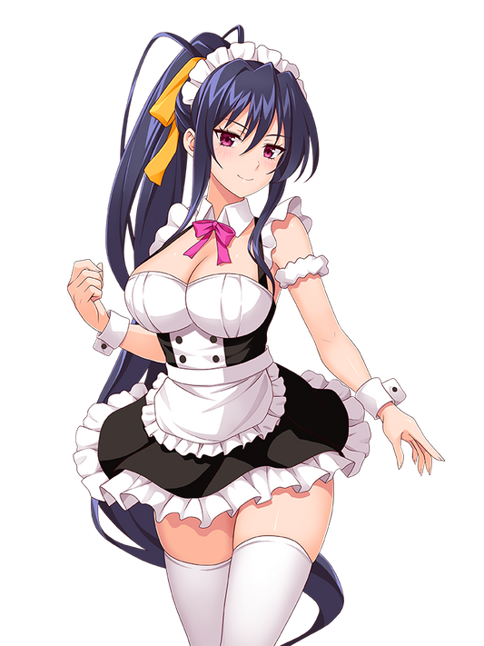 AKENO HIMEJIMA MAID