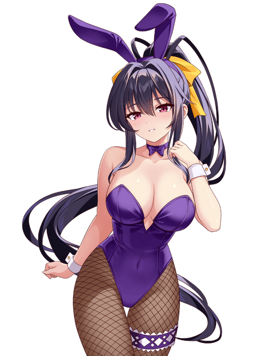 AKENO HIMEJIMA BUNNY