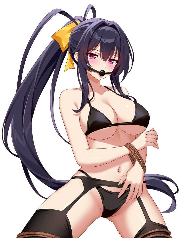 AKENO HIMEJIMA BOUND