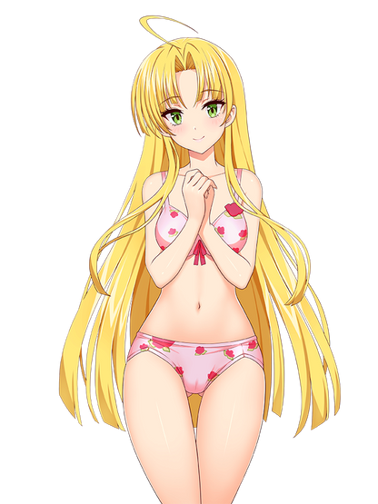 HIGH SCHOOL DXD STICKER COLLECTION