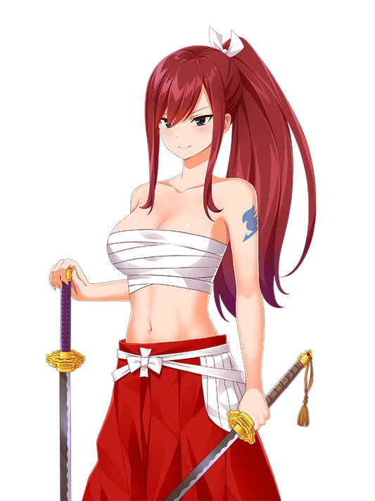 ERZA SCARLET WITH SWORDS 2