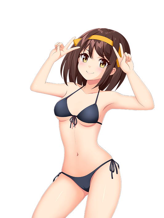 HARUHI SUZUMIYA SWIMSUIT