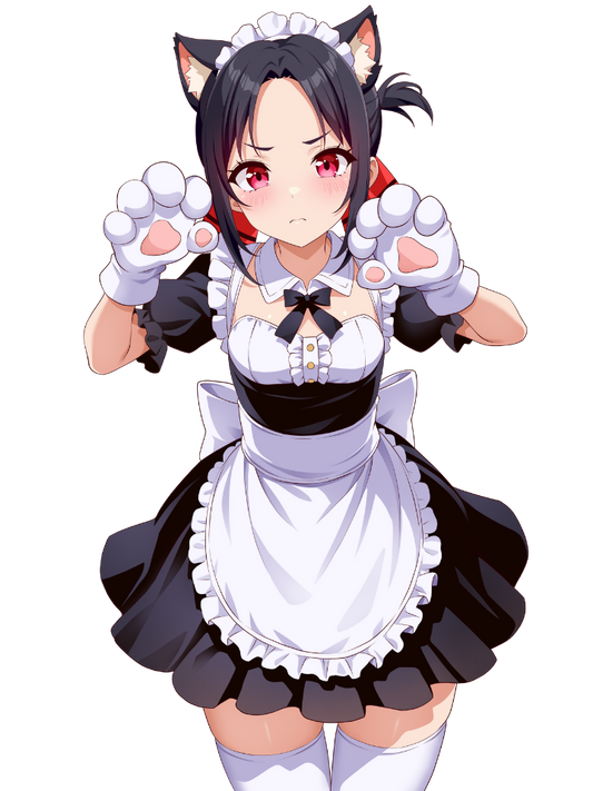KAGUYA SHINOMIYA CATMAID