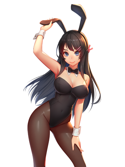 MAI SAKURAJIMA BUNNY SUIT