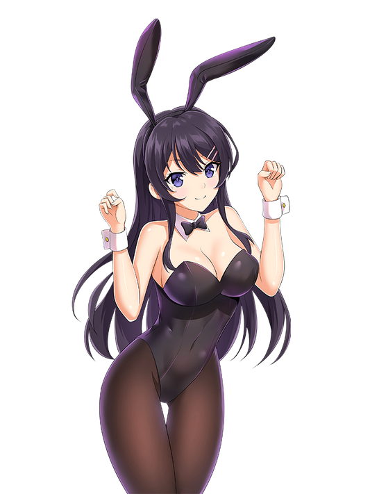 MAI SAKURAJIMA BUNNY SUIT 2