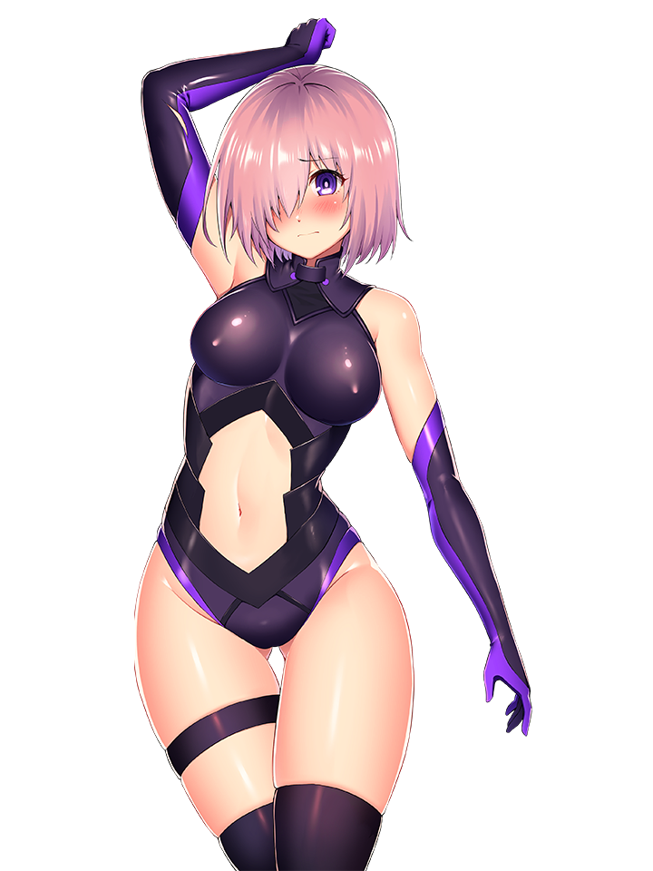 FATE STICKER COLLECTION