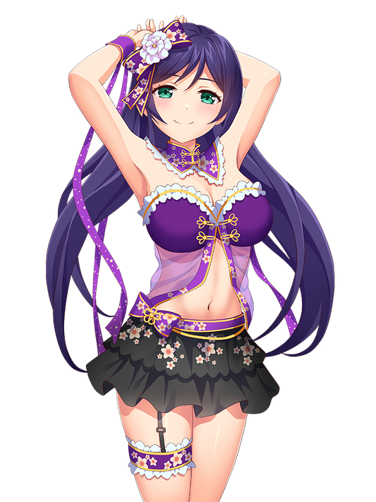 NOZOMI TOJO IDOL