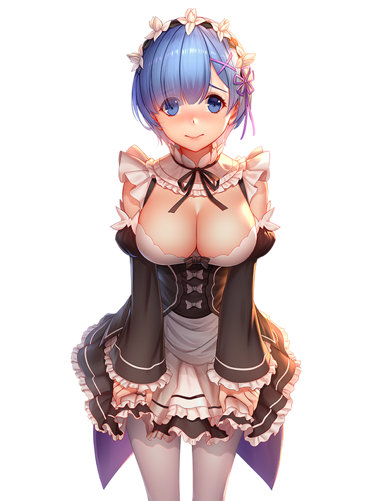 REM MAID OUTFIT