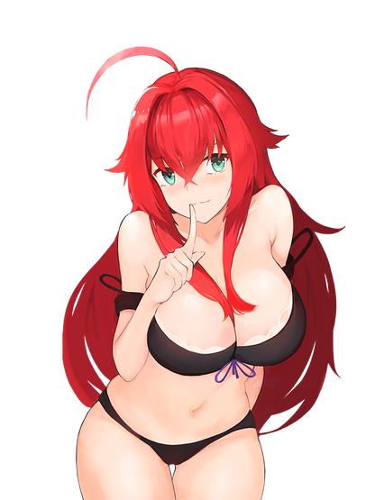 HIGH SCHOOL DXD STICKER COLLECTION