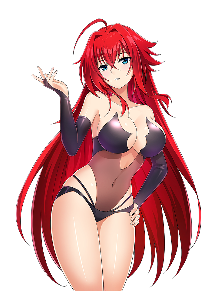 HIGH SCHOOL DXD STICKER COLLECTION