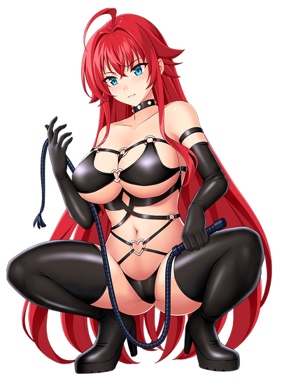 HIGH SCHOOL DXD STICKER COLLECTION