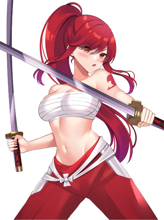 ERZA SCARLET WITH SWORDS