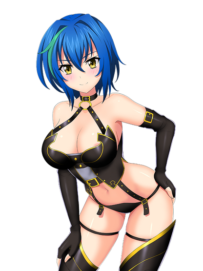 HIGH SCHOOL DXD STICKER COLLECTION