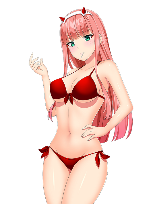 ZERO TWO BIKINI