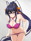 Akeno Himejima Sexy