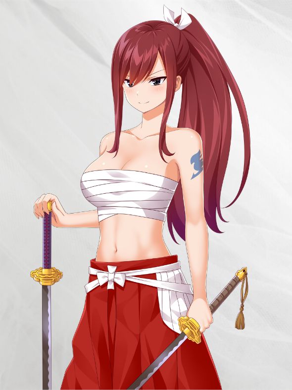 Erza Scarlet with Swords 2