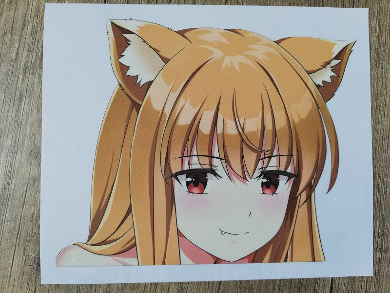 Holo Peeker