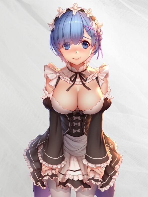 Rem Maid Outfit